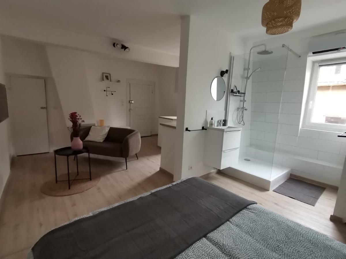 Toi Mon Toit Apartment Colmar Exterior foto